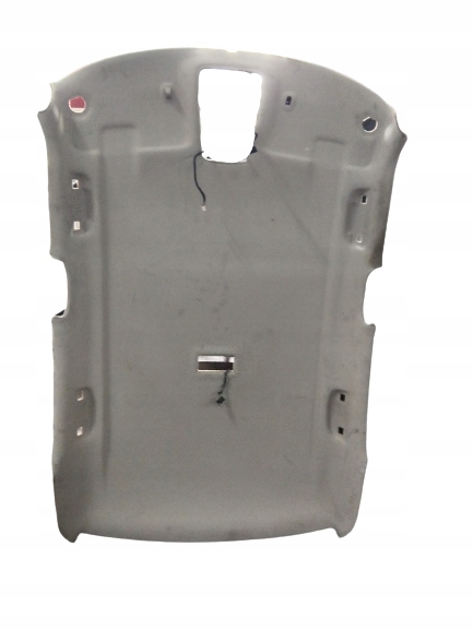 фото №1, Saab 95 sedan потолок