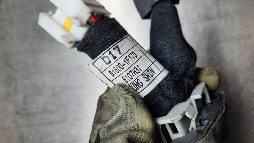 фото №8, Электропроводка жгут дверь левый перед kia sportage ii 91600-1f170