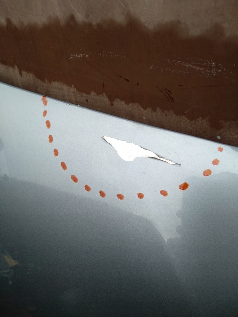 фото №4, Капот bmw 5 g30 g31