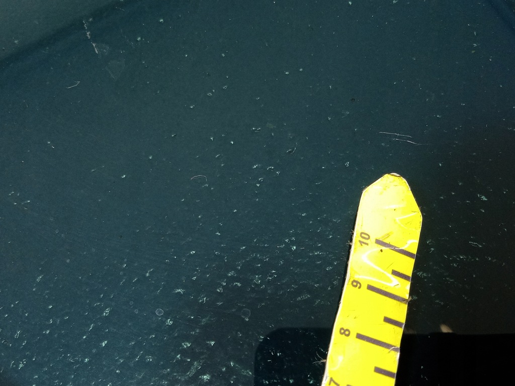 фото №6, Mazda premacy i cp 99- стекло кузовная задняя левая