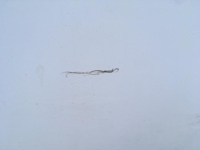 фото №10, Дверь правый задняя fiat ducato 06-12 niski