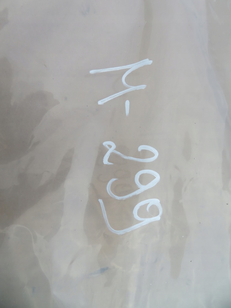 фото №7, Прокладка i молдинг двері polestar ii ліва сторона 31108768