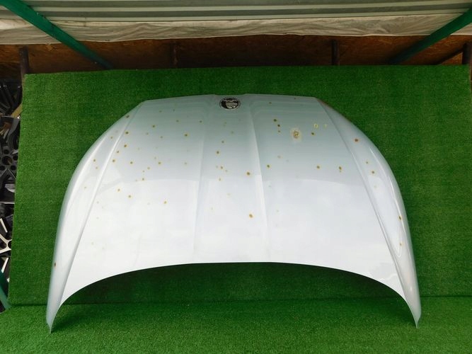 фото №1, Skoda enyaq капот