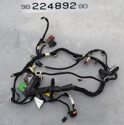 фото №1, Джгут двері лівий перед peugeot 508 ii 9822489280