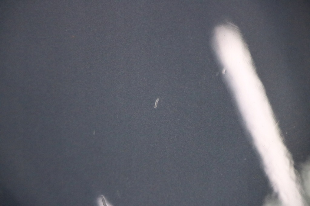 фото №7, Bmw 8 g14 m8 f91 cabrio крышка багажника задняя задняя цвет c38