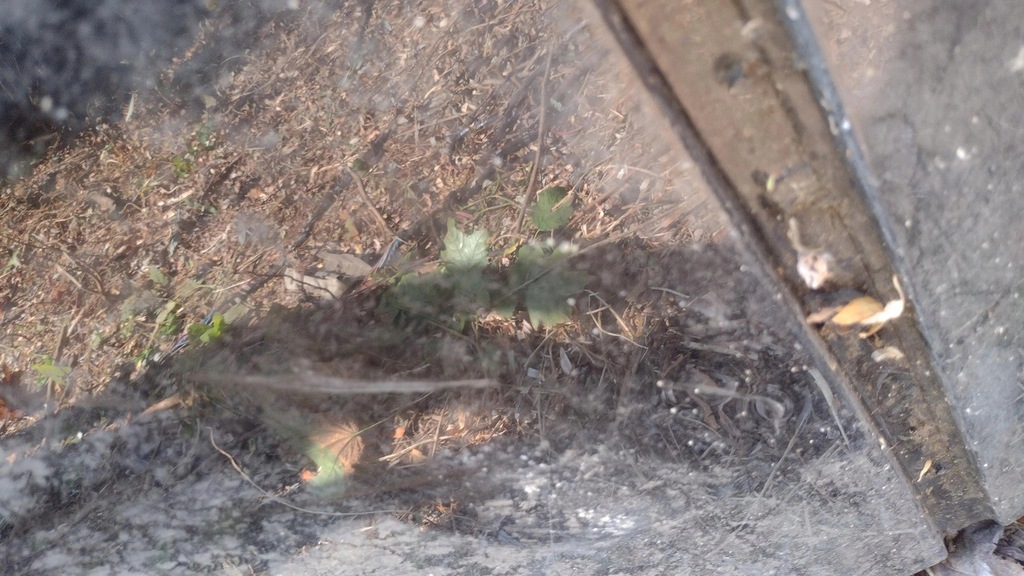 фото №11, Porsche panamera 970 lift крыша люк