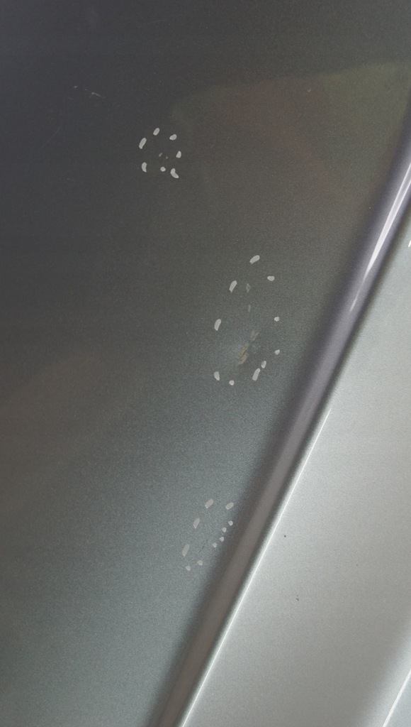 фото №11, Капот крышка перед kia sorento i lift mi