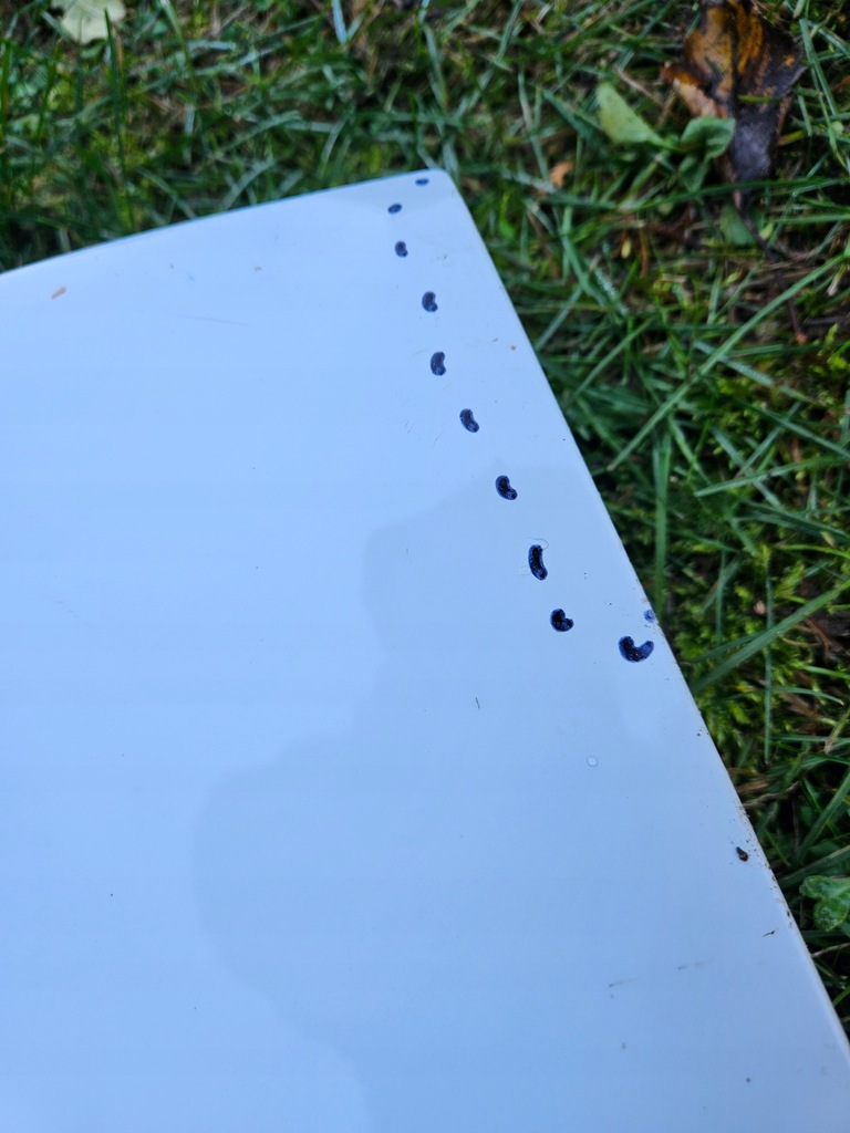 фото №10, Двері правий задня audi a3 8v sportback