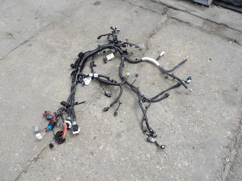 фото №1, Джгут електропроводка 240119399s renault clio