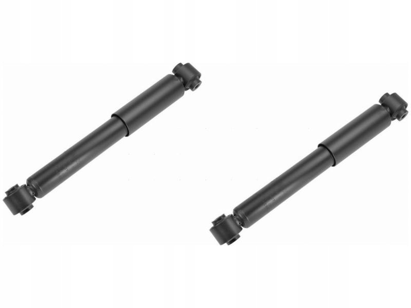 Купити Амортизатори задній meyle 026 725 0005