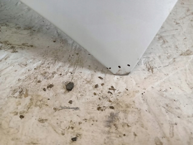 фото №5, Капот крышка двигателя toyota rav4 rav-4 v 19-