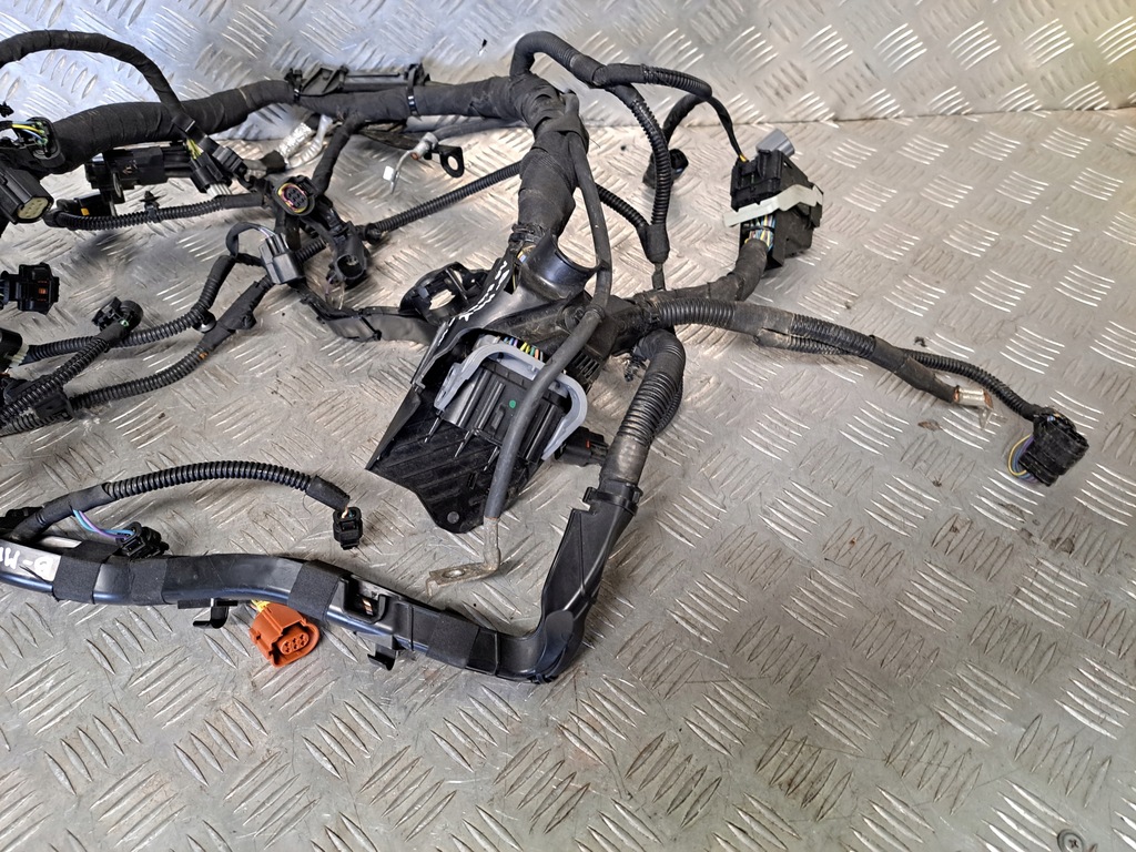 фото №6, Ford b-max lift 1.0 ecoboost електропроводка двигуна