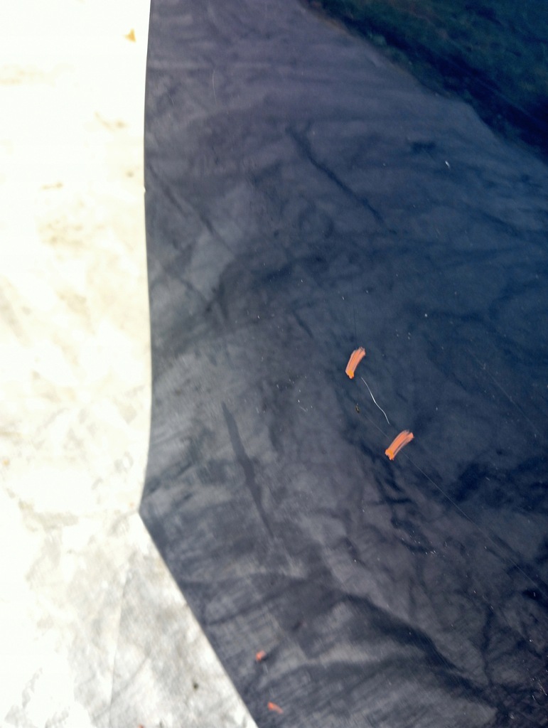 фото №7, Дверь левый задняя bmw e60 a07 mystic blau