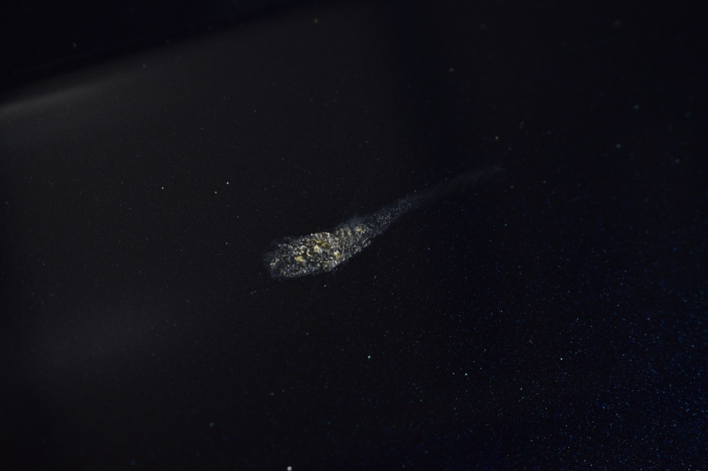 Bmw x3 g01 f97 x4 g02 f98 капот кришка демонтаж оригінальна w колір 416 Зі Шроту