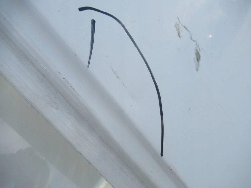 фото №10, Двері задня праве renault trafic ii