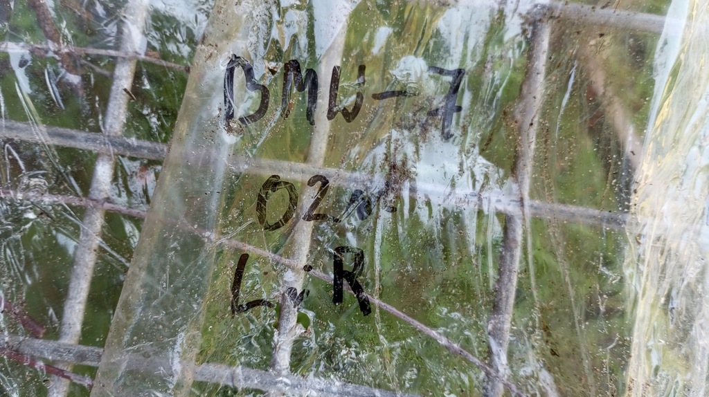 фото №11, Лампа стекло фары стекло правый левый перед лампы bmw 7 e38 lift 1999-2001