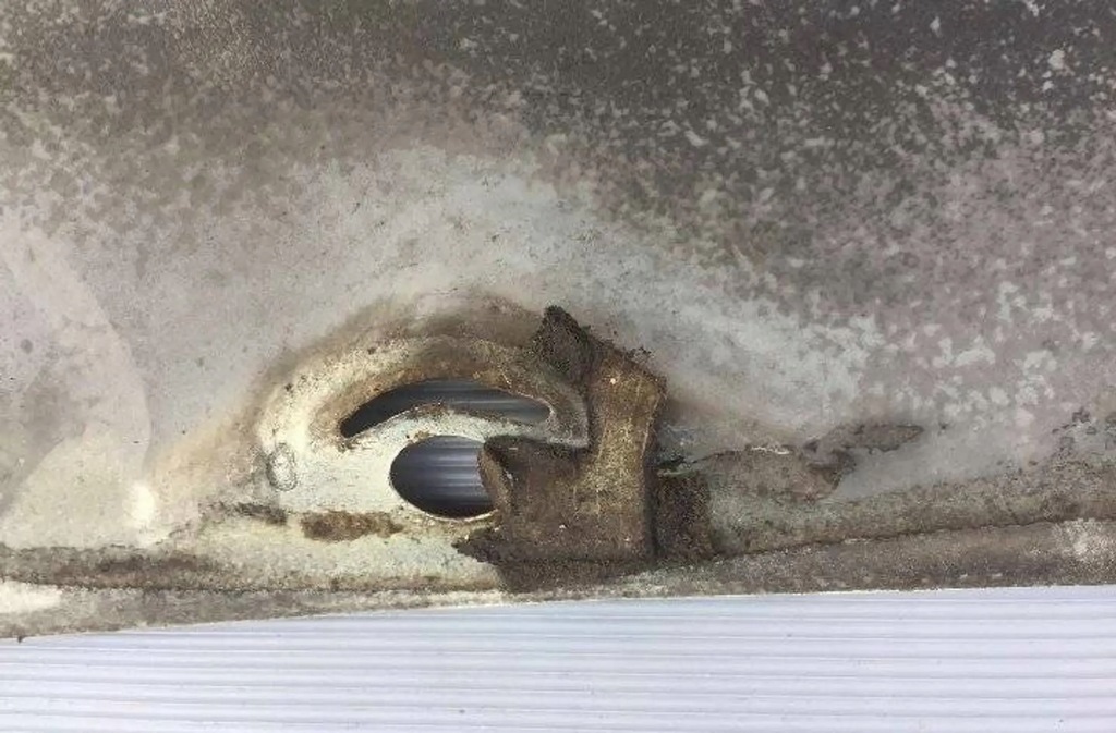 фото №6, Mercedes-benz w123 1982 жабо