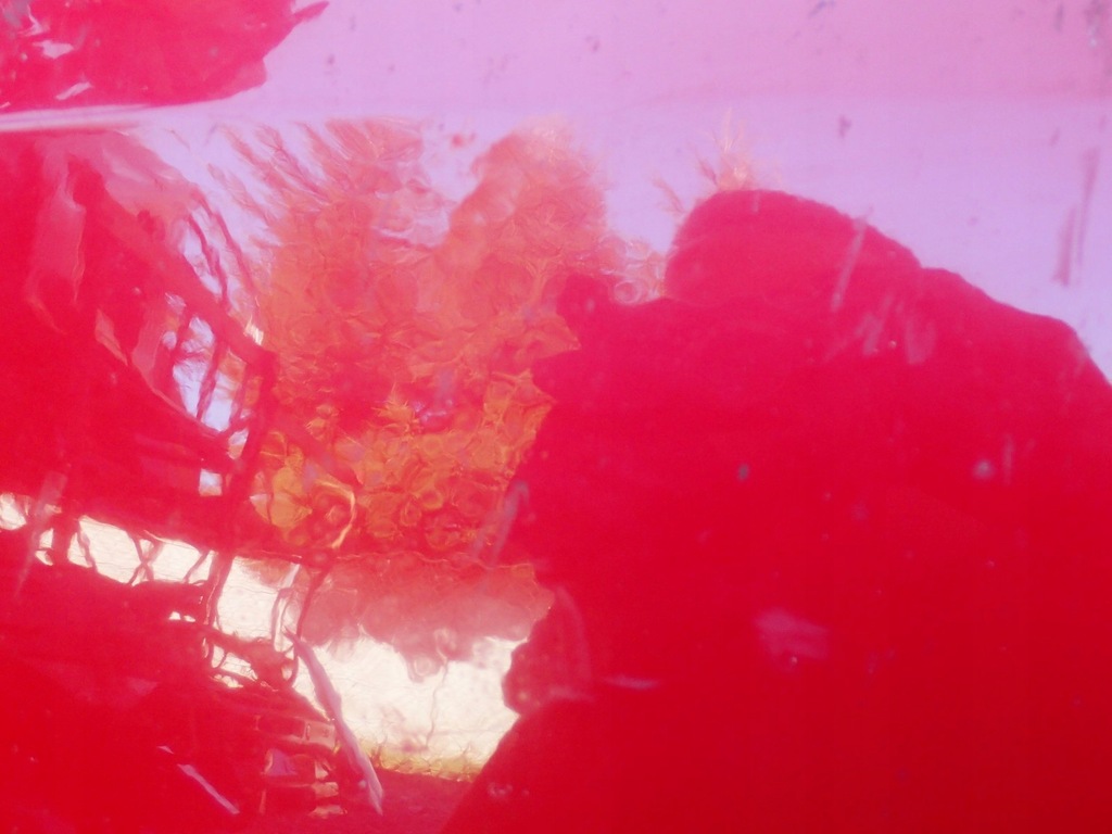 фото №10, Капот крышка двигателя renault master iii lift