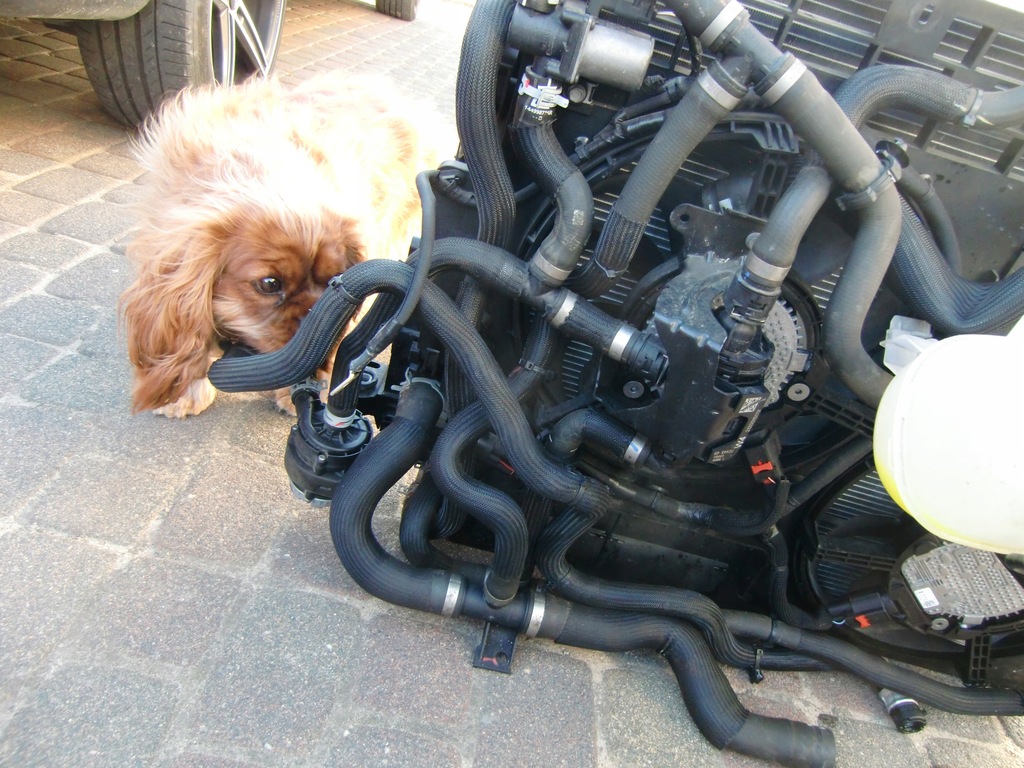 фото №6, Pas радиатор renault trafic iii 2.0 dci