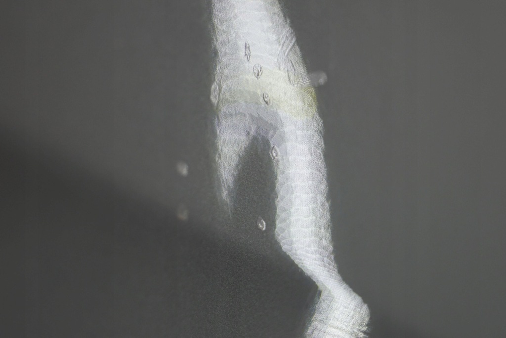 фото №14, Mercedes w169 дверь правый перед d1694