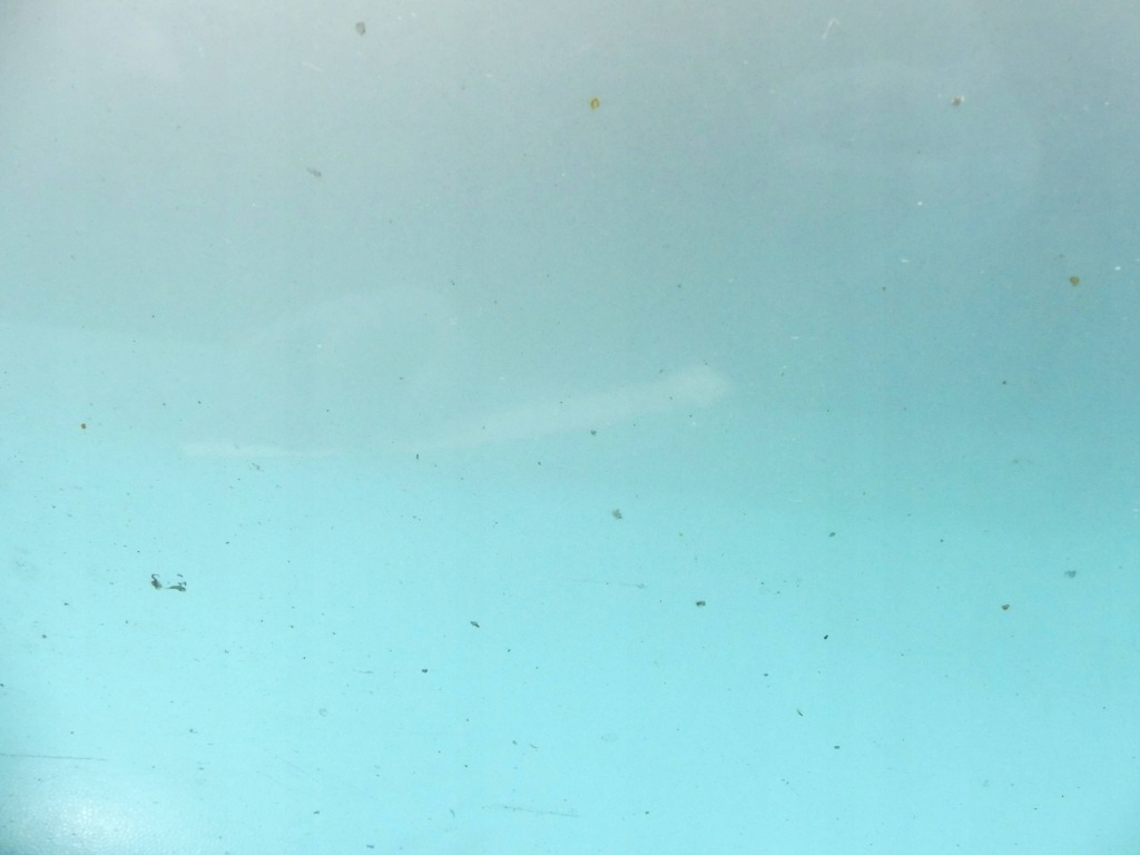 фото №8, Дверь задняя левая alfa romeo 159 kombi sw 568/a