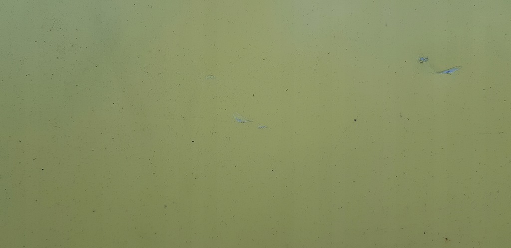 фото №9, Peugeot boxer ii 06-14 дверь левая передние перед