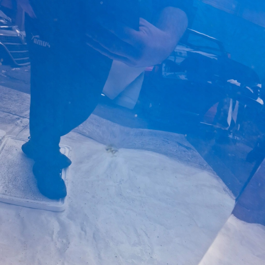 Купить Skoda octavia iv 4 19- капот крышка двигателя