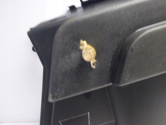 фото №7, Corsa c обшивка кронштейн полиця задня обшивка праве 3d