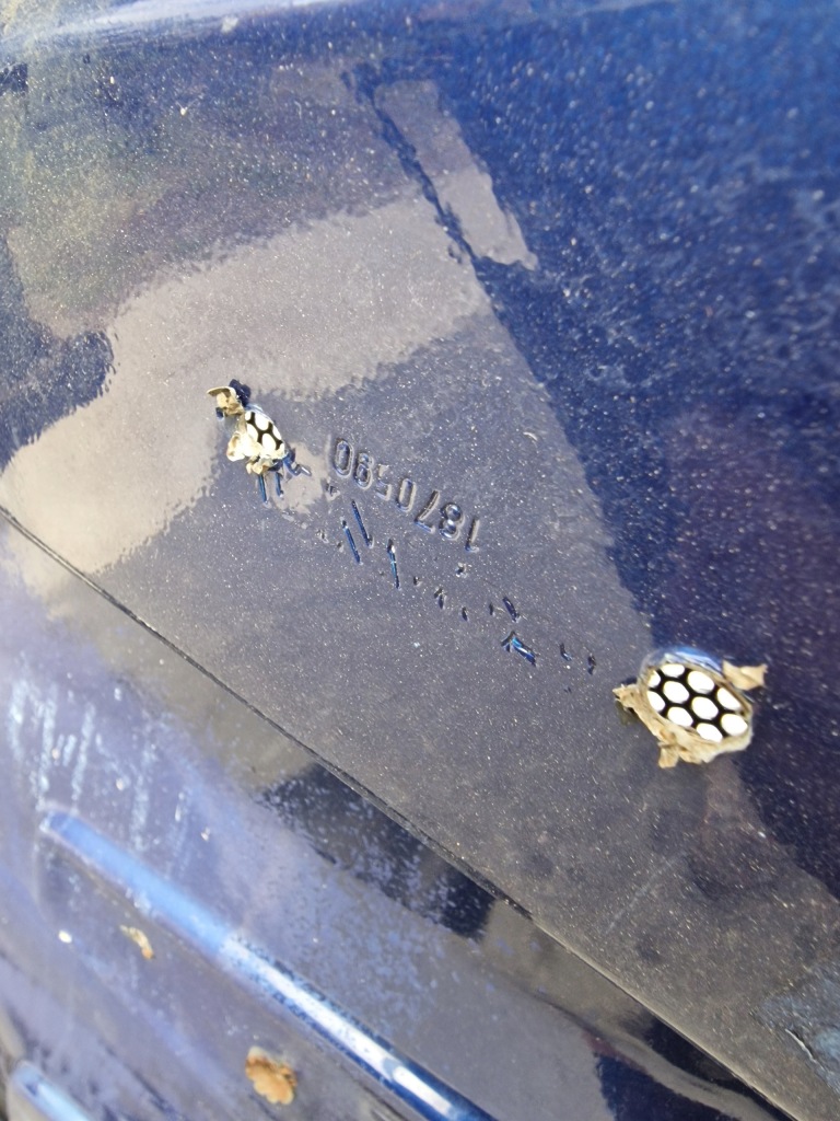 Капот решітка  решітка радіатора облицювання streamline scania r 2055972 2269446 2055973 Київ