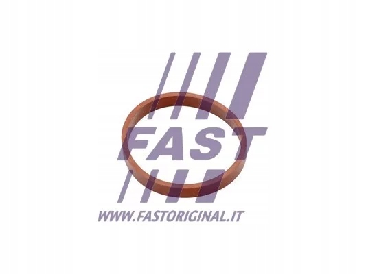 фото №2, Ft49418/fas прокладка коллектор fiat scudo 07- всасывающий fast
