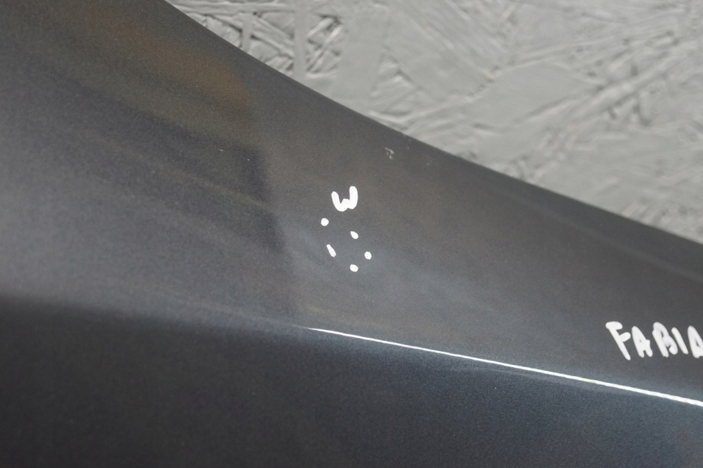 фото №10, Крила правий перед skoda fabia ii monte carlo lf8j