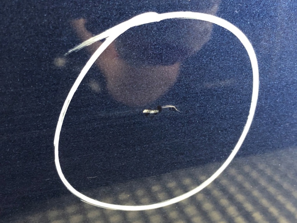 фото №5, Двері правий задня mercedes w246 minivan 11-18