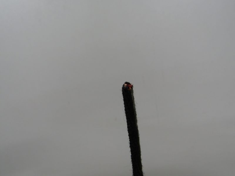 фото №13, Kadjar hak буксирувальний причепа 8201709344 oryg