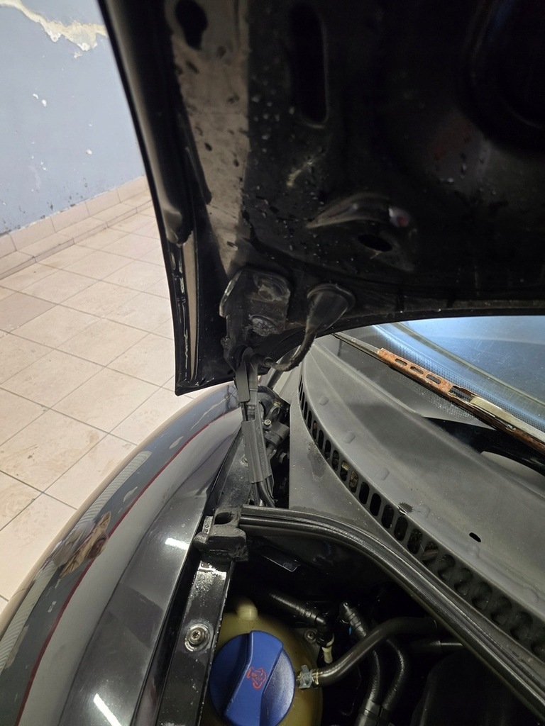 фото №10, Vw new beetle new bitel петля капот колір l041 1998-2010