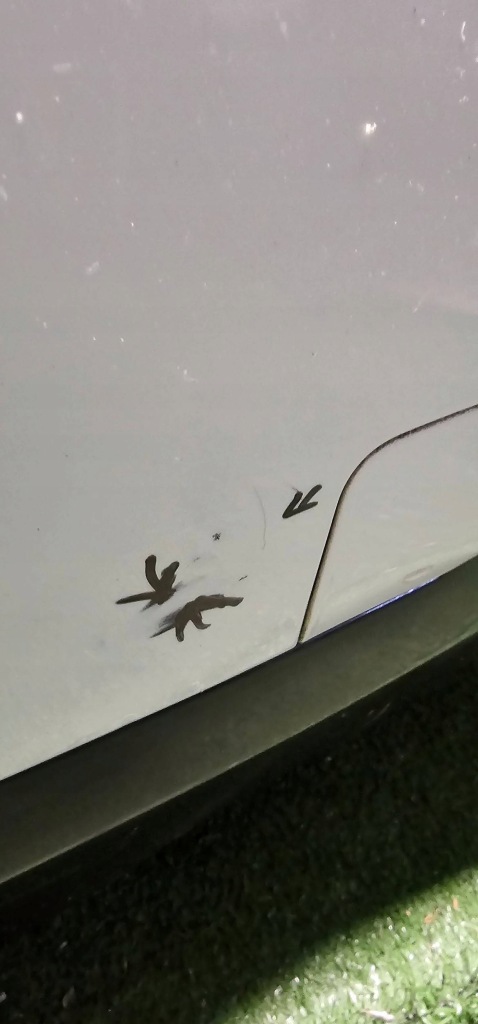 фото №8, Bmw 3 gt f34 2013 усиление бамперов балка