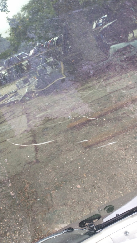 фото №6, Ford mustang mach-e крыша стеклянный панорама