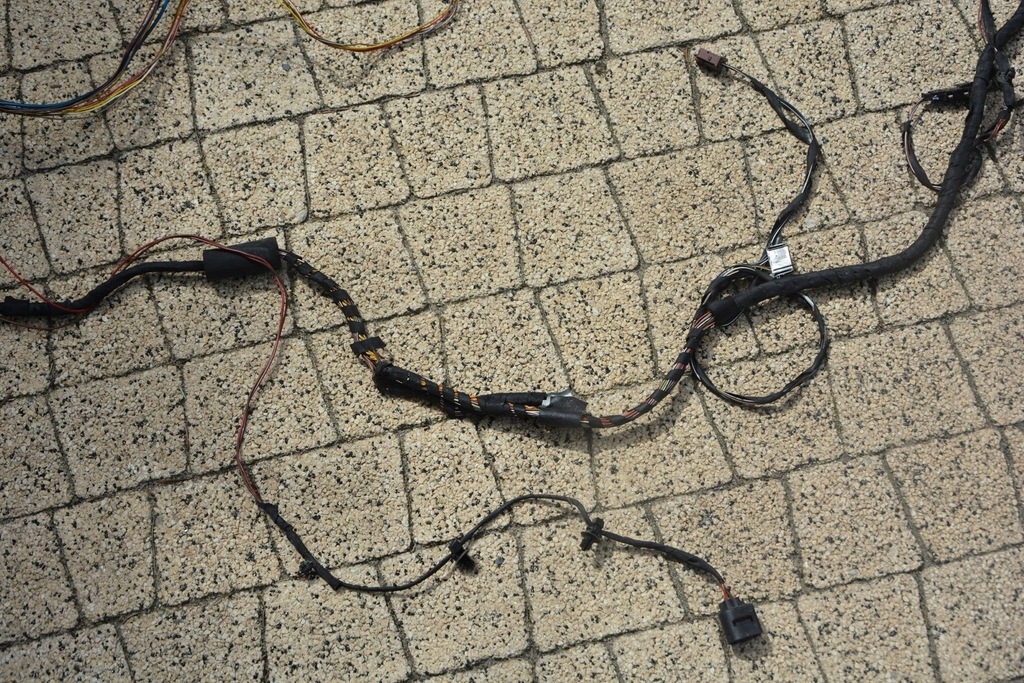 фото №9, Джгут двері лівий перед лівий задня bmw 7 f01