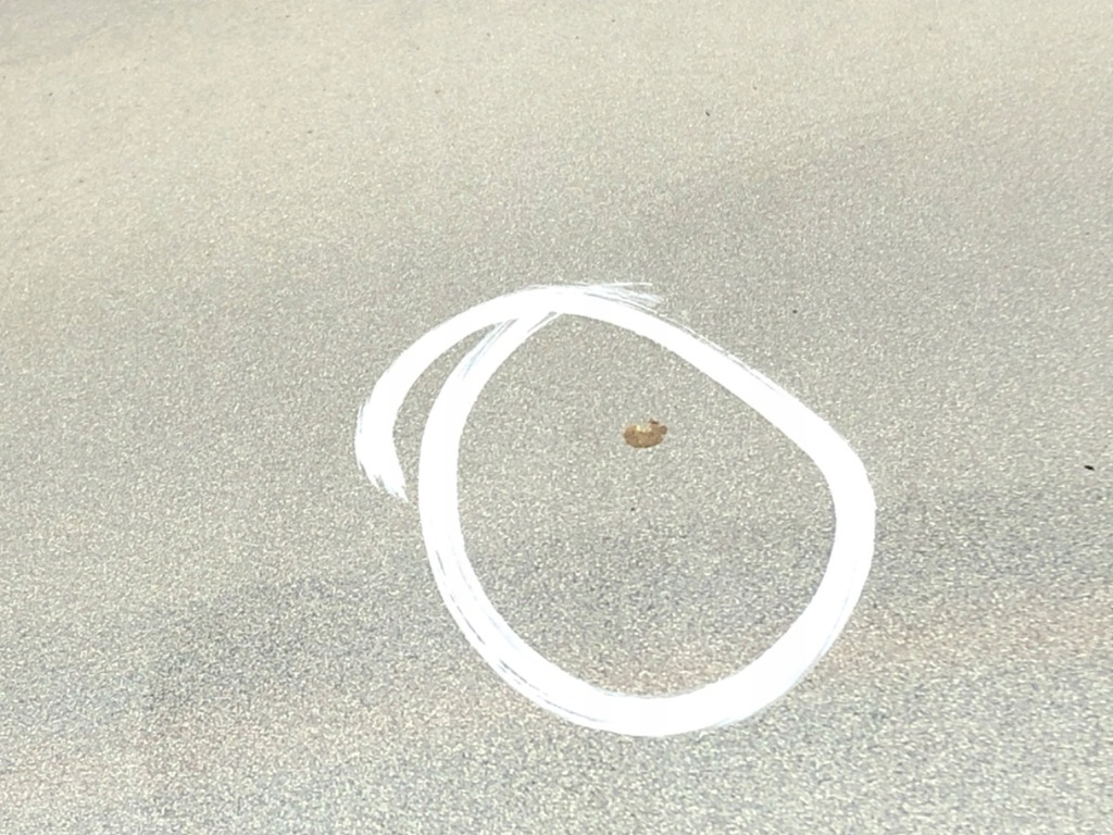 фото №5, Крышка багажника задняя ford mondeo mk3 kombi 00-07