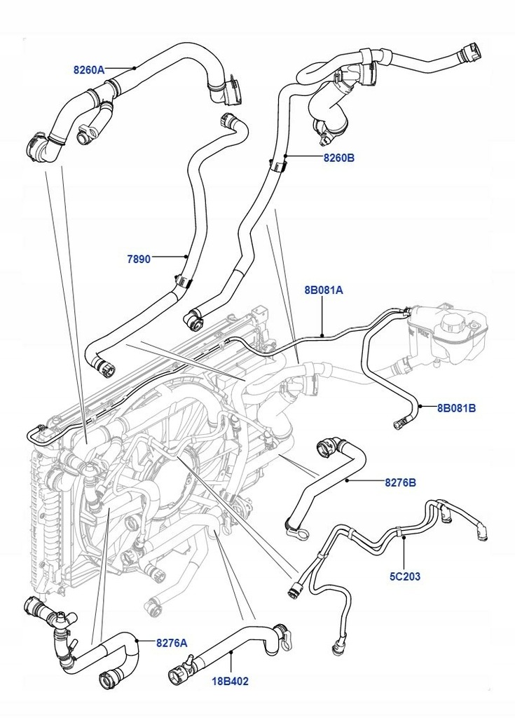 фото №7, Шланг wąż радиаторный evoque 2.0 дизель 2015-18