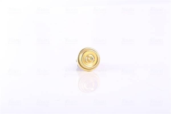 фото №8, Датчик температури води nis