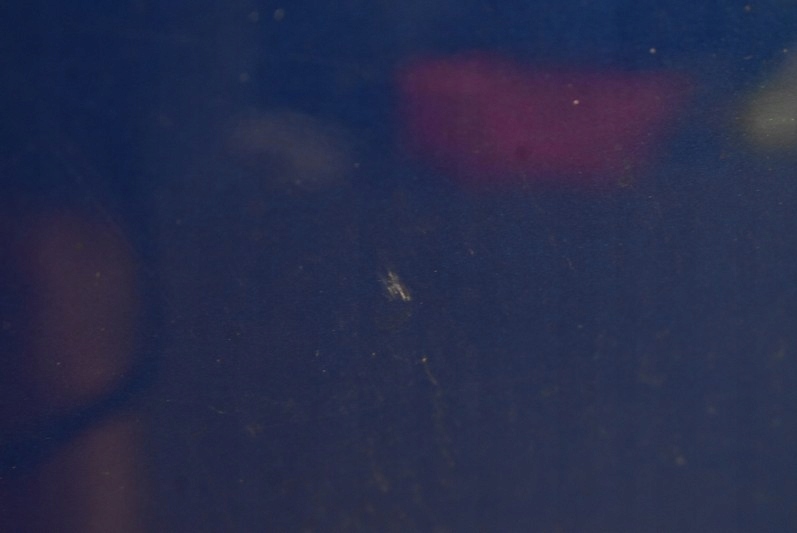 фото №11, Капот крышка двигателя niebieska suzuki sx4 06-14