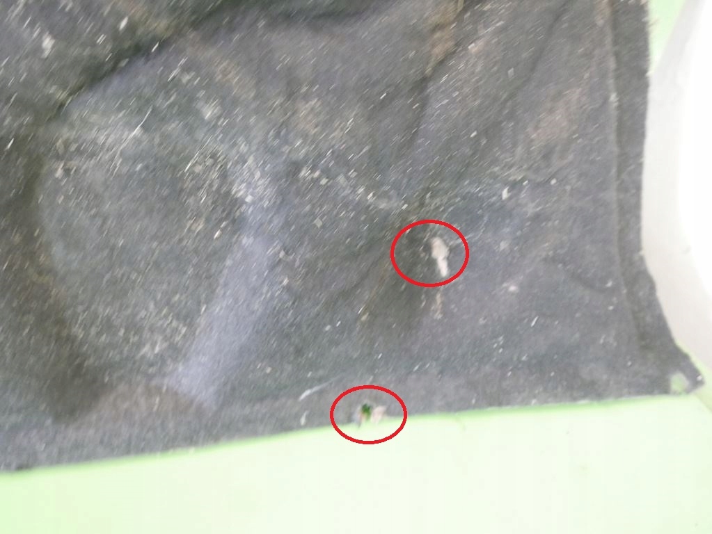 фото №5, Шумоизоляция подкрылок капот mercedes vito ii w639