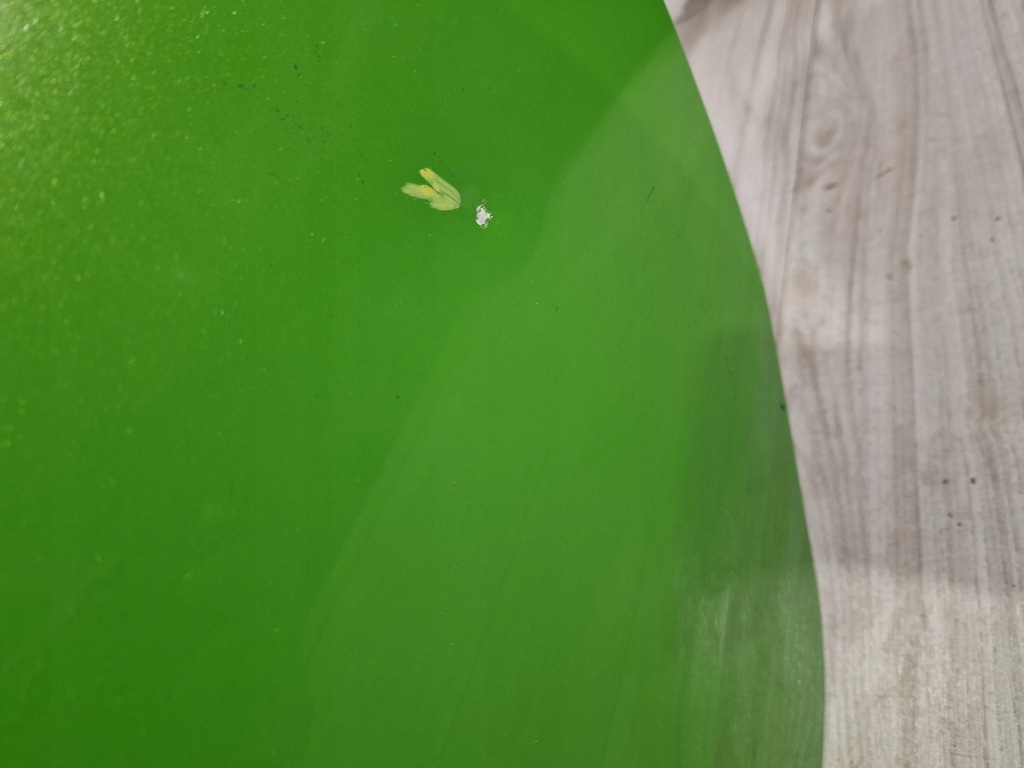 фото №9, Lamborghini huracan дверь левая 4t0831435b