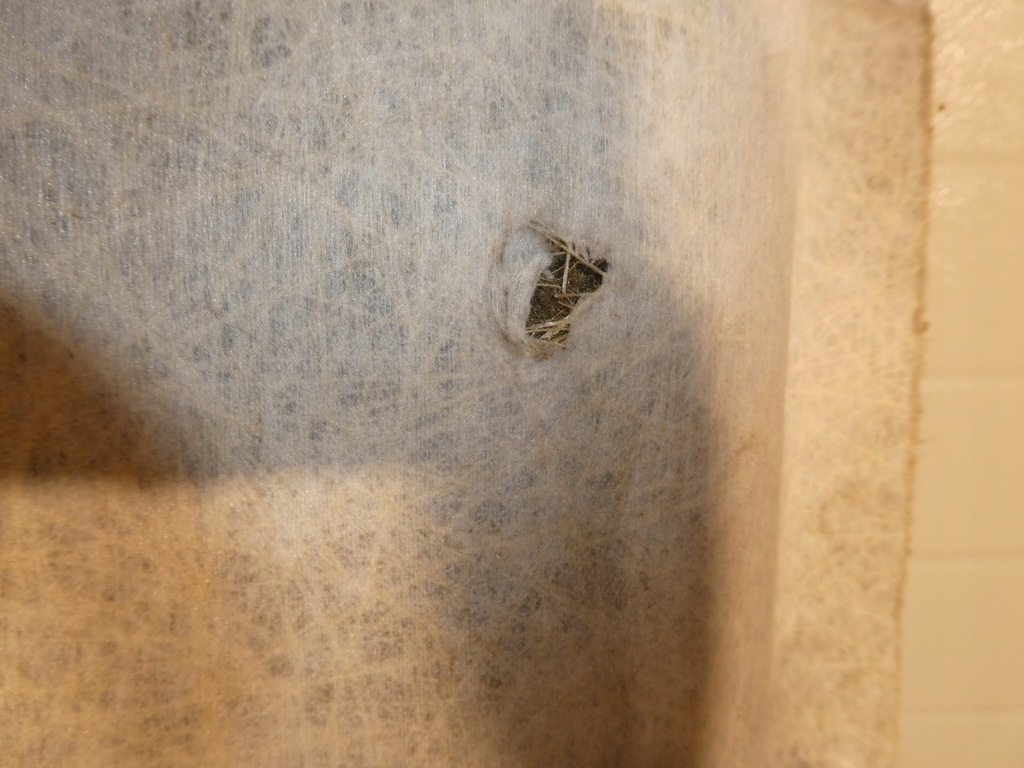 фото №7, Потолок потолок vw amarok