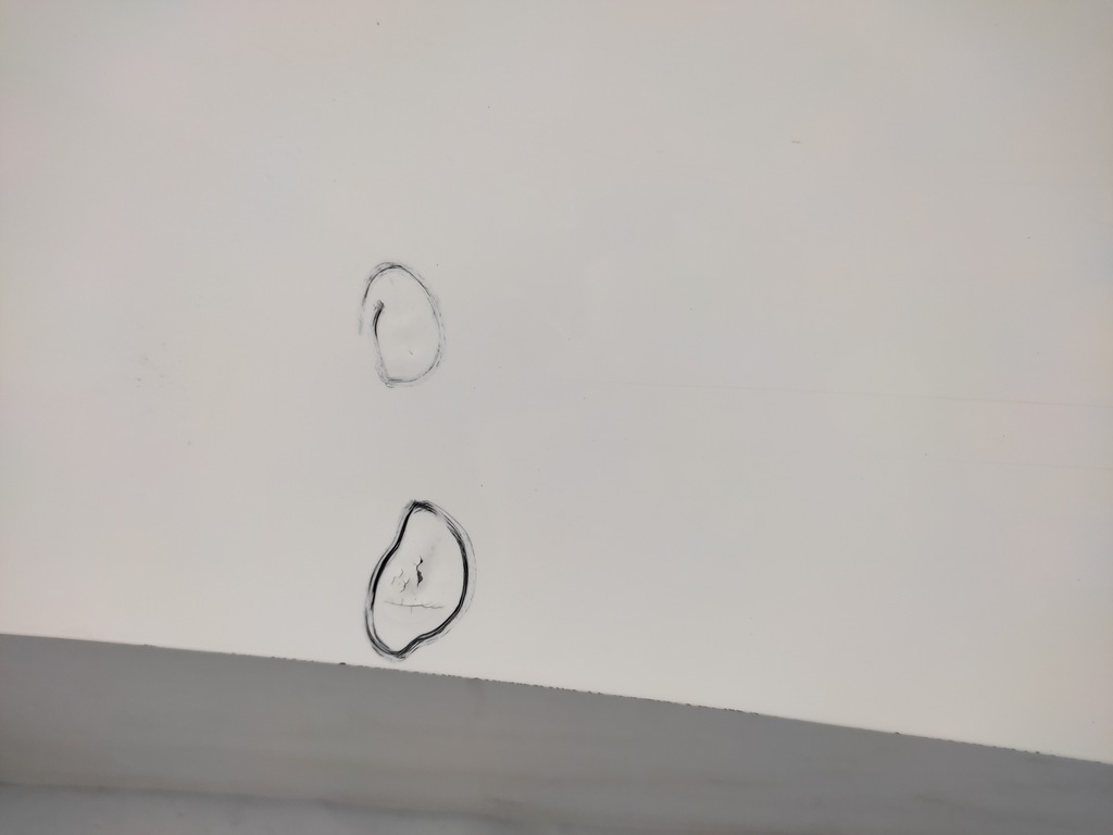 фото №12, Toyota yaris iv cross капот крышка двигателя перед 2020-