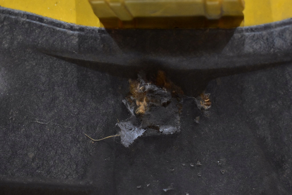 фото №15, Капот кришка двигуна y66p honda jazz 2 ii 07-11