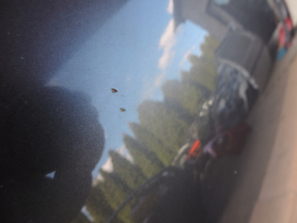 фото №8, Suzuki kizashi 2009 2010 2011 2012 2013 капот