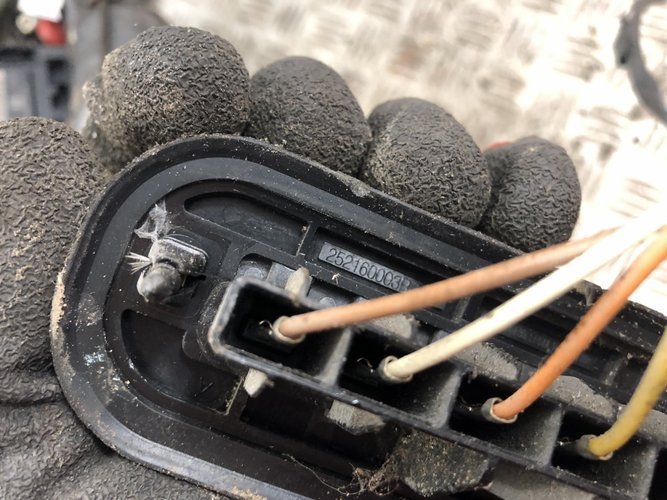 фото №5, Датчик контактор двері bok master iii 252160003r