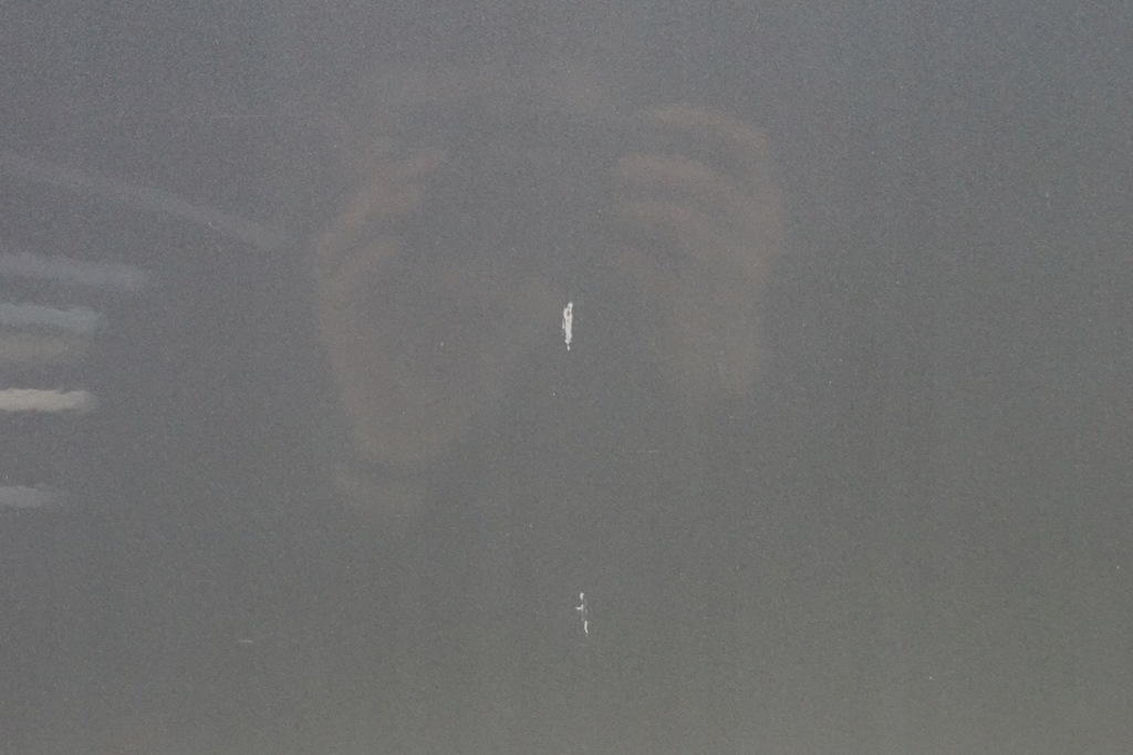 фото №13, Двері правий перед audi a6 c6