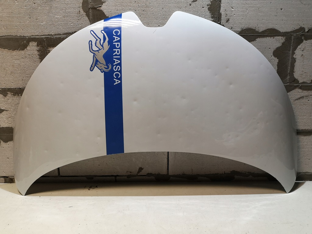 фото №1, Капот zoe